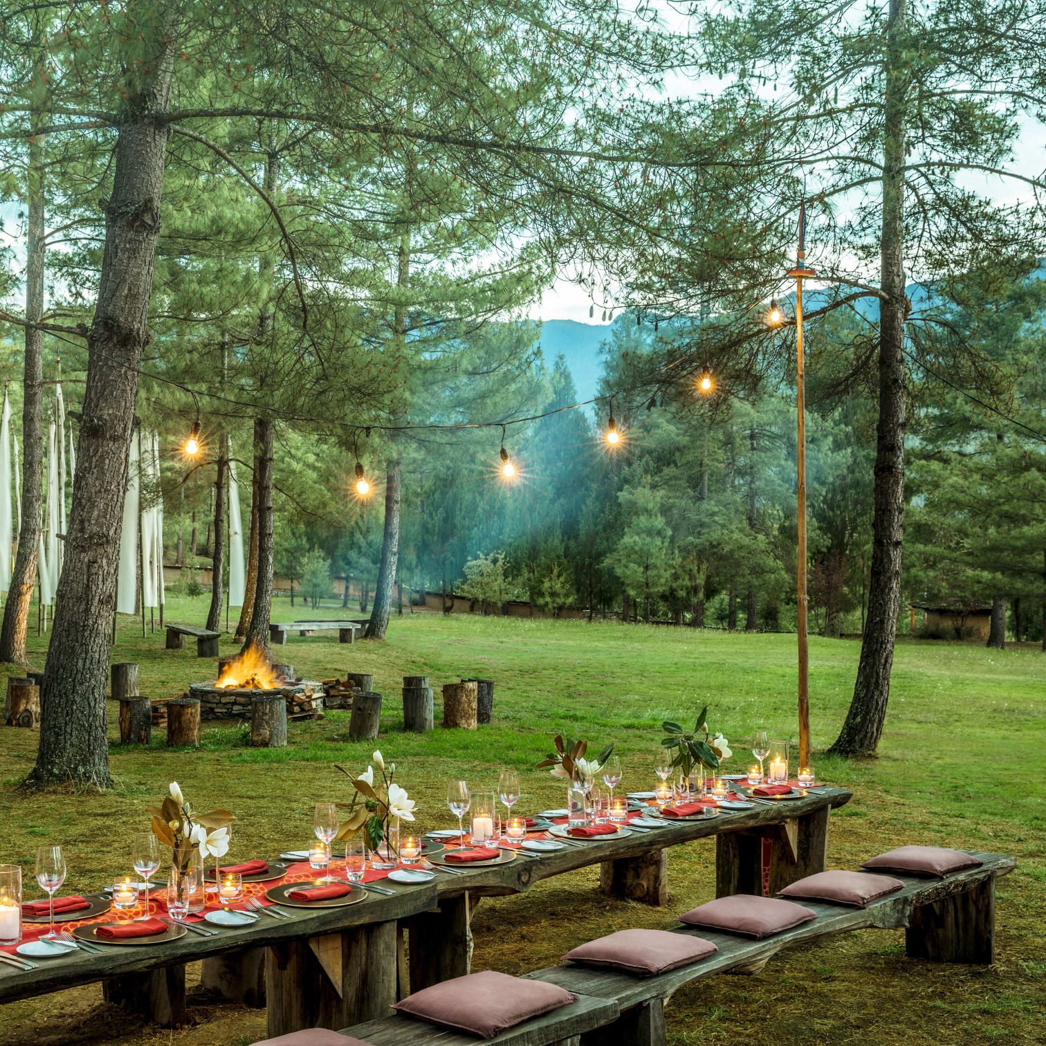 A Picnic Table With A Fire Pit And A Fire Pit With A Fire And Trees In The Background
