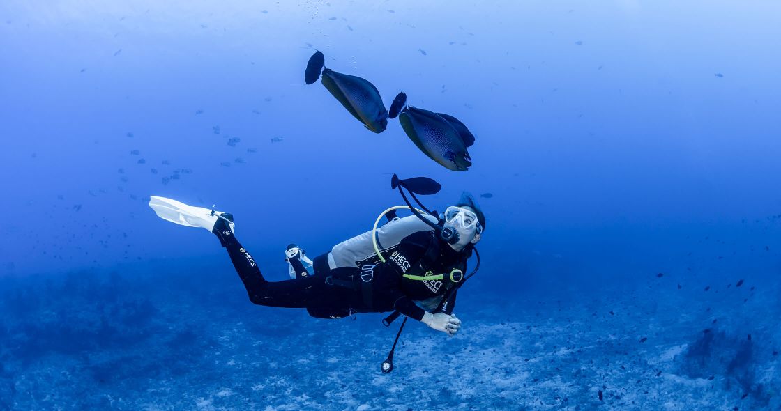 A Scuba Diver Under Water