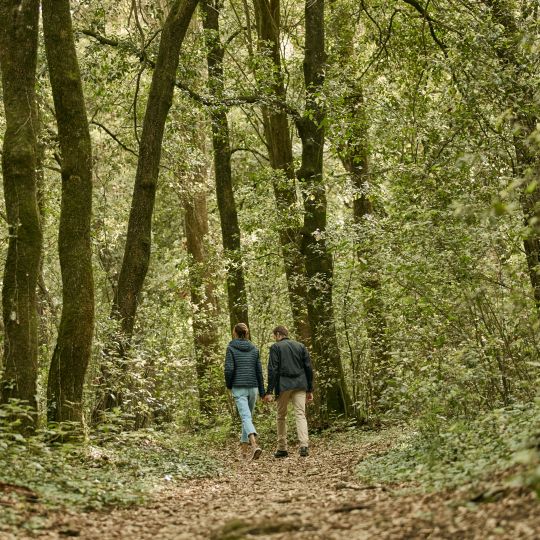 A Couple People Walking Through A Forest