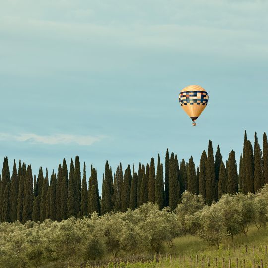 A Hot Air Balloon Over A Forest
