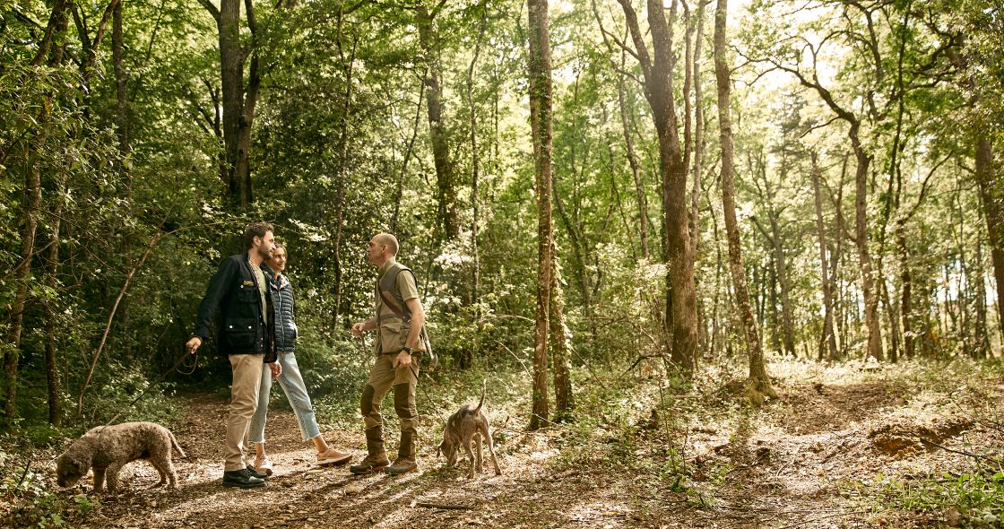 A Couple Of People Walking In The Woods With Dogs