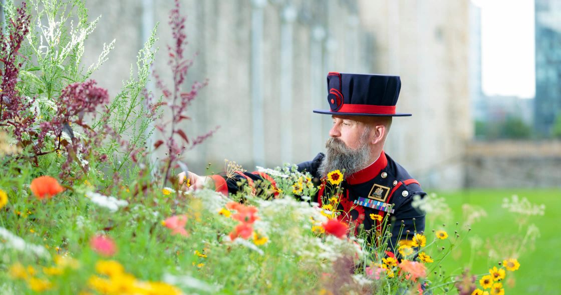 A Person In Uniform In A Field Of Flowers