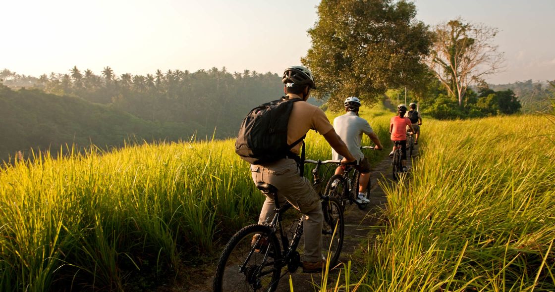 A Group Of People Riding Bikes On A Trail In A Grassy Area