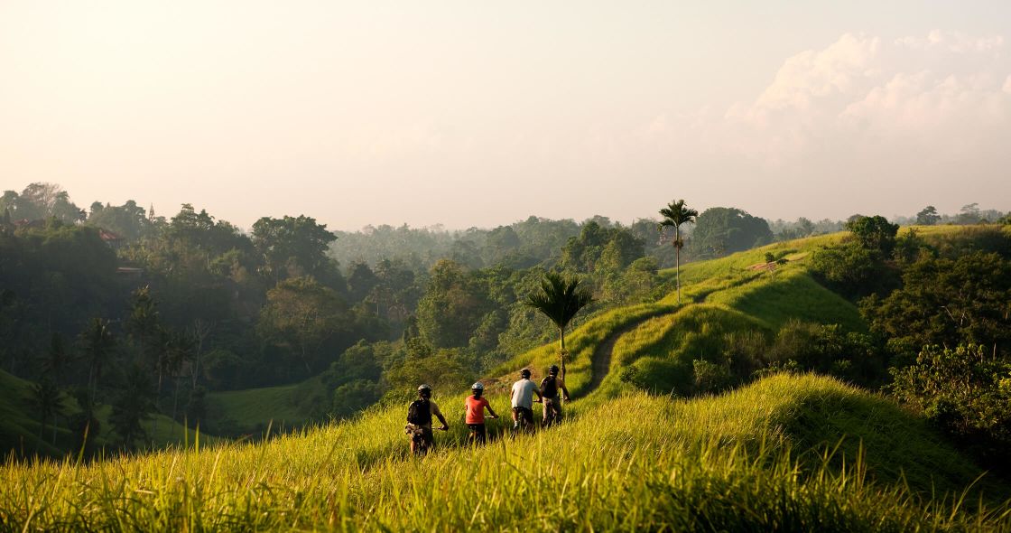 A Group Of People Walking On A Hill With Trees And Grass