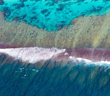 Ningaloo Reef - Thumbnail