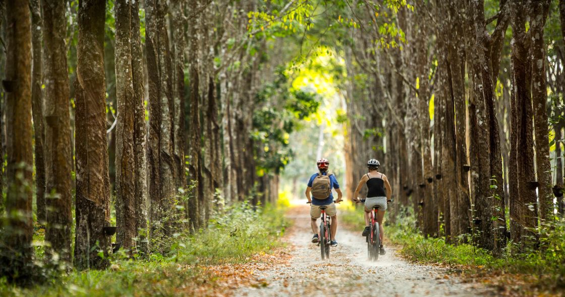Two People Riding Bikes On A Trail In The Woods