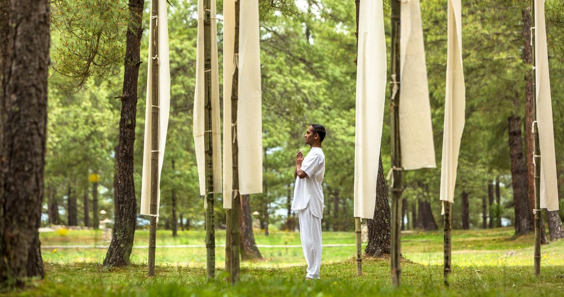 A Man Standing In A Row Of Bamboo Trees