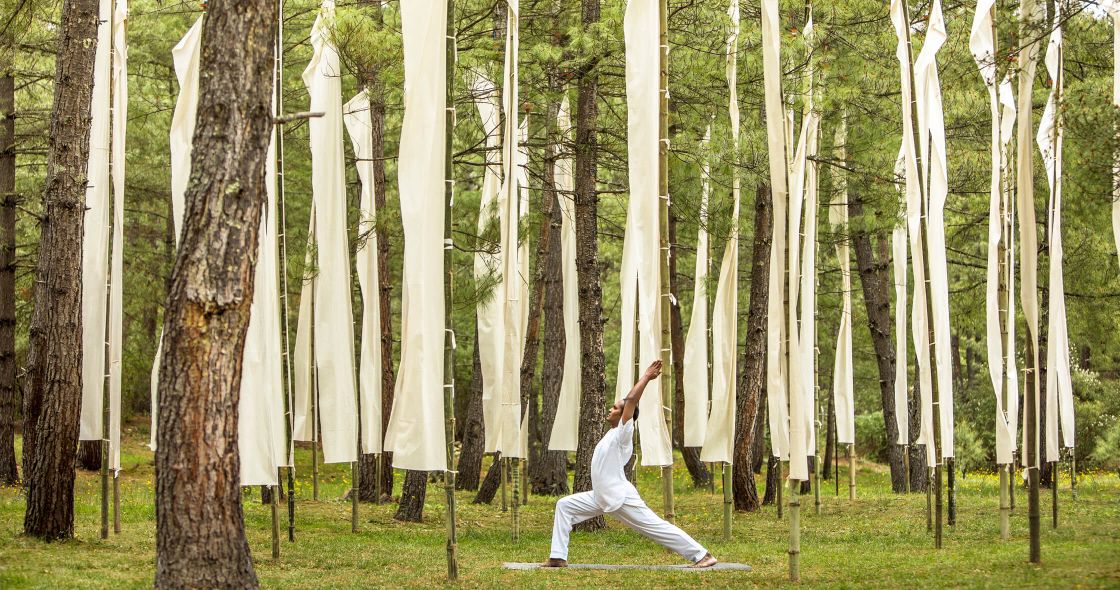 A Person Doing Yoga In A Forest