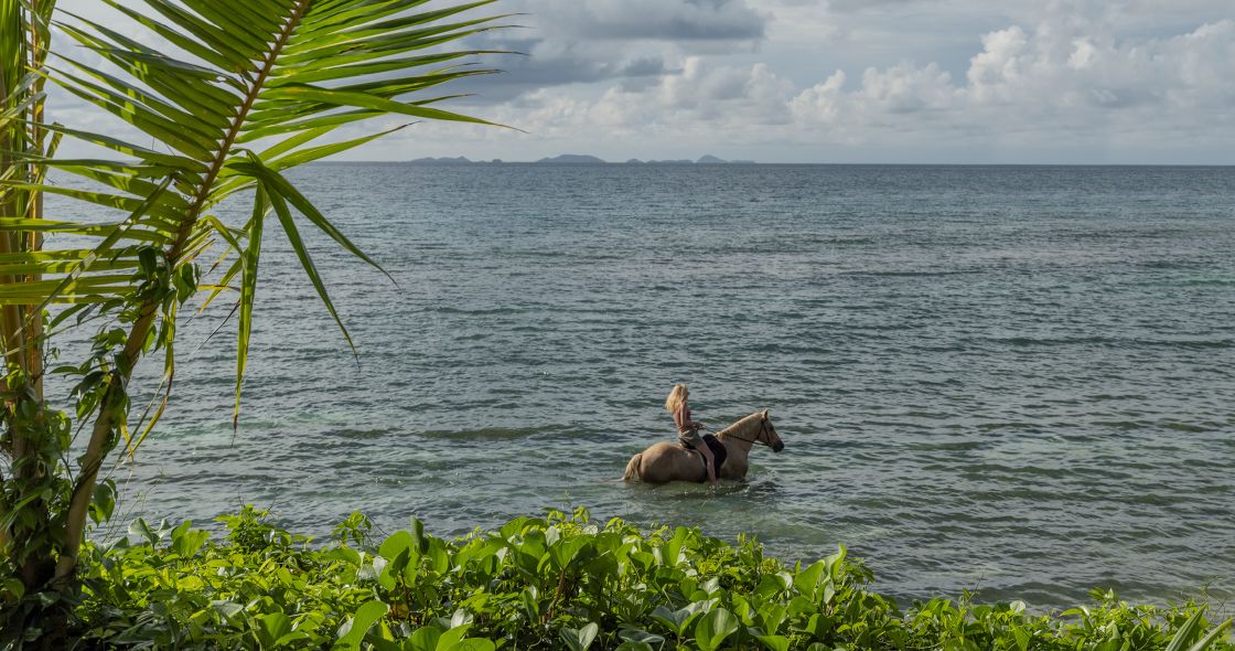 A Person Riding A Horse In The Water