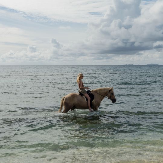 A Man Riding A Horse In The Water