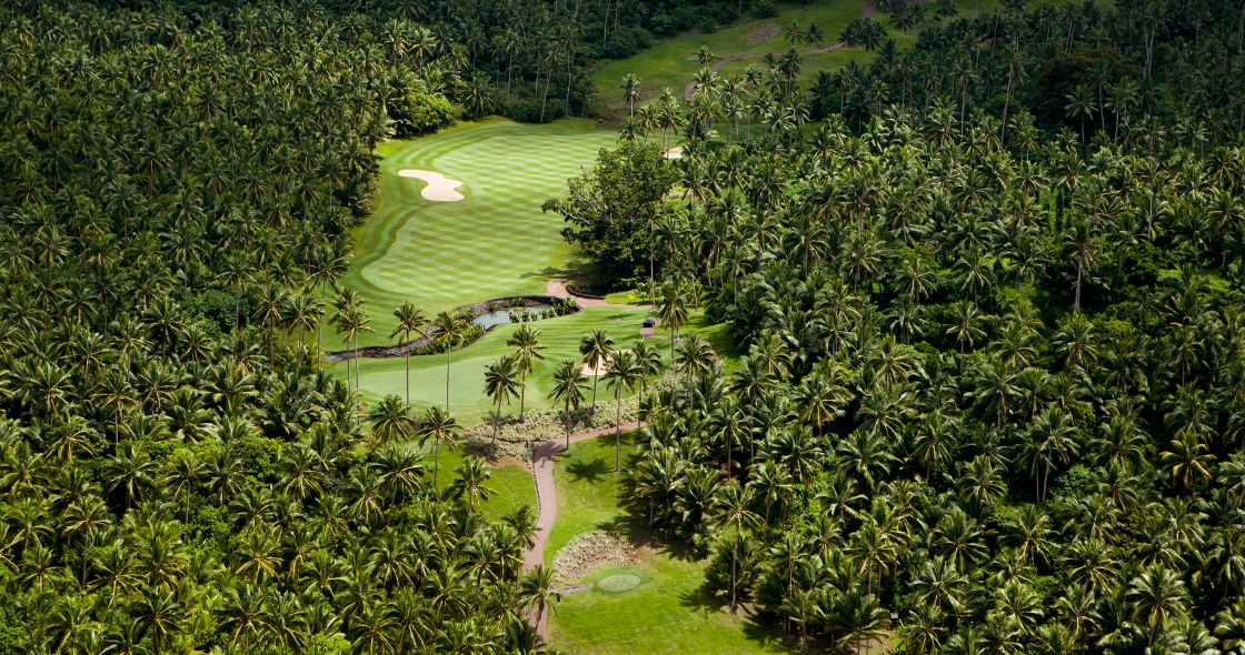 A Golf Course Surrounded By Trees