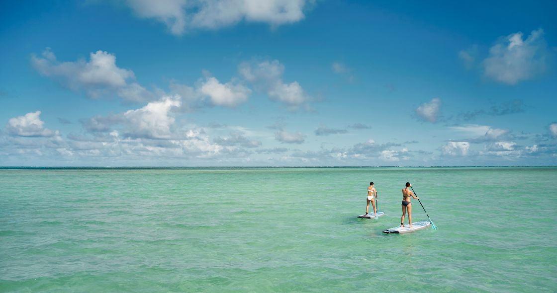 A Couple Of People Paddle Surfboards In The Ocean