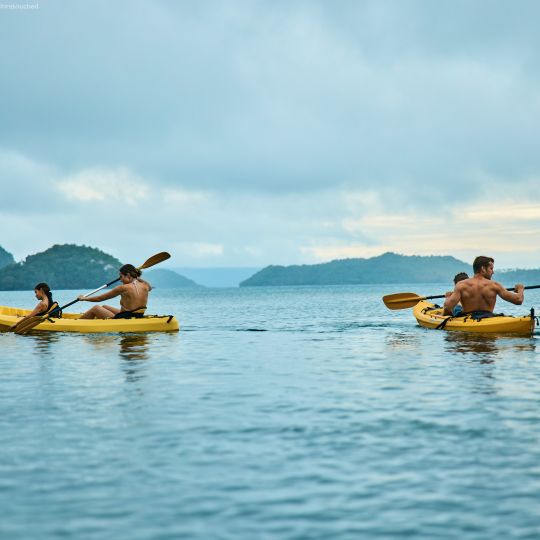 A Group Of People In Kayaks On A Body Of Water