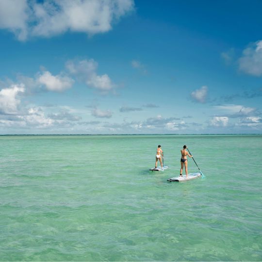A Couple Of People Paddle Surfing In The Ocean