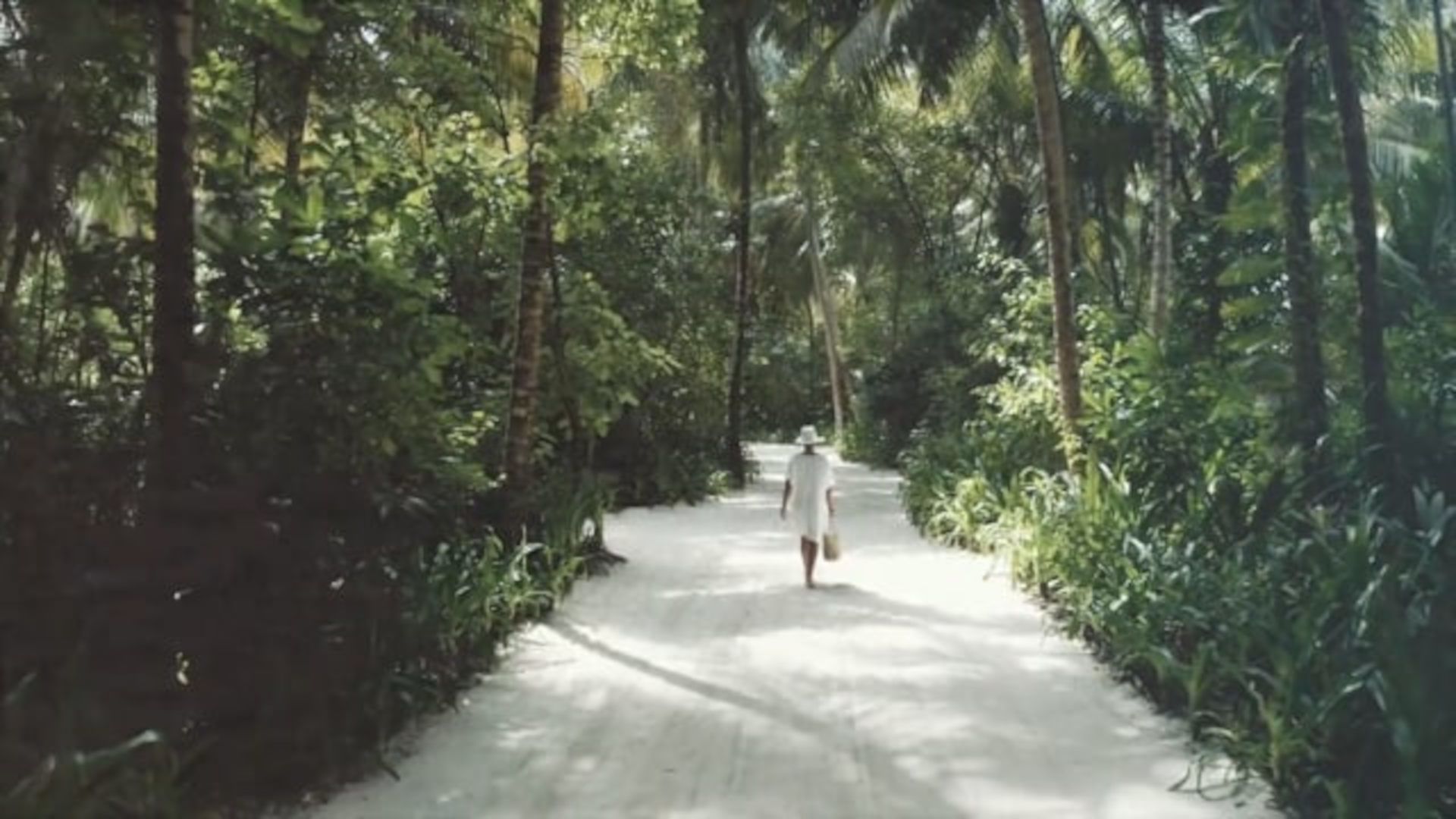 A Person Walking On A Path In The Woods