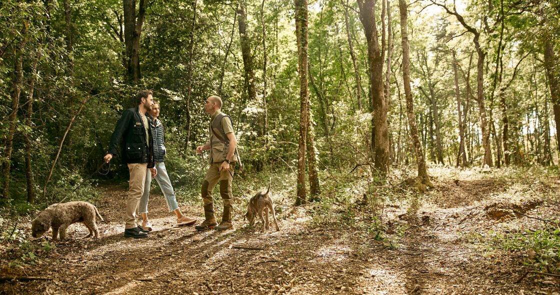 A Couple Of Men And Dogs In A Forest