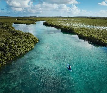 Mangrove Kayaking - Thumbnail