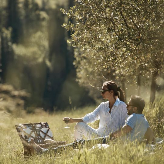 Take time out beneath Tuscan trees