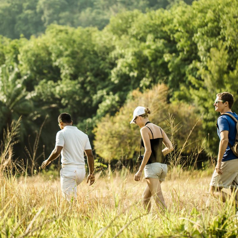 A Group Of People Walking Through Tall Grass Image