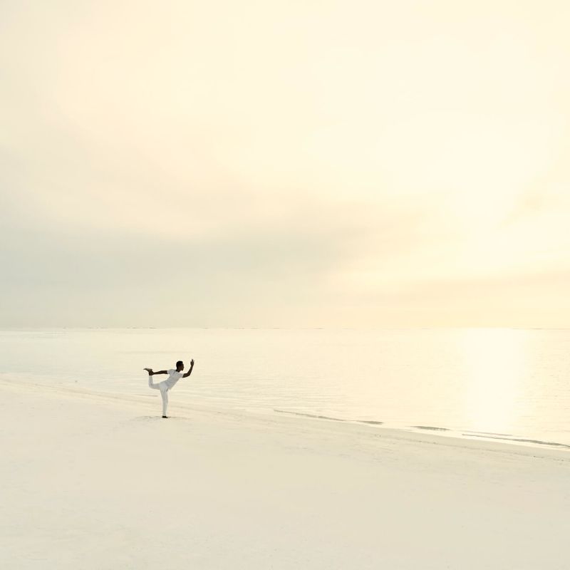 A Bird Walking On A Beach Image