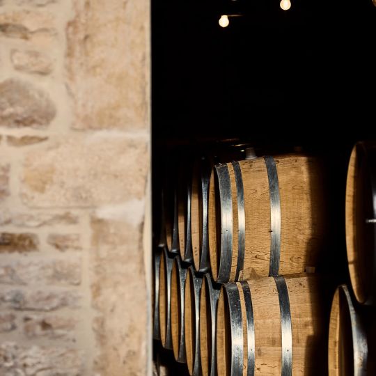 Discover the vineyards of the Côte de Beaune