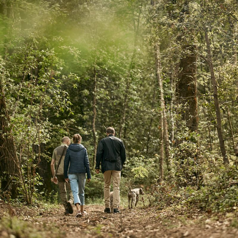 A Group Of People Walking In The Woods Image