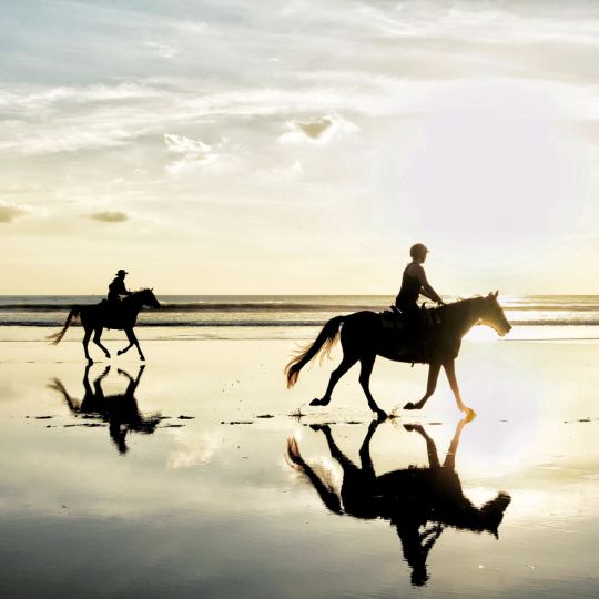 Horse riding on Nelayan Beach