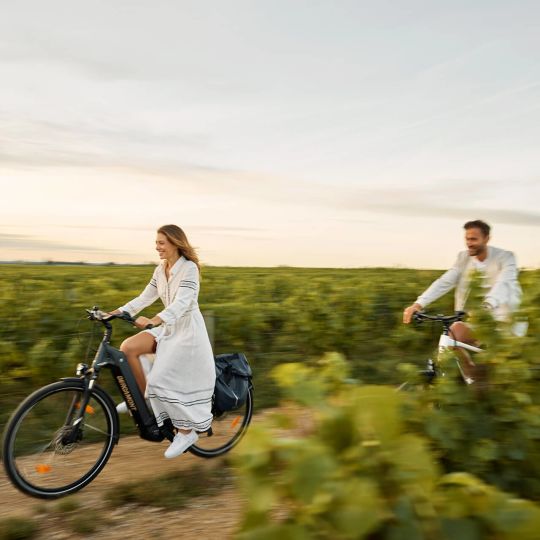 Explore Côte de Beaune’s wines and vineyards by e-bike