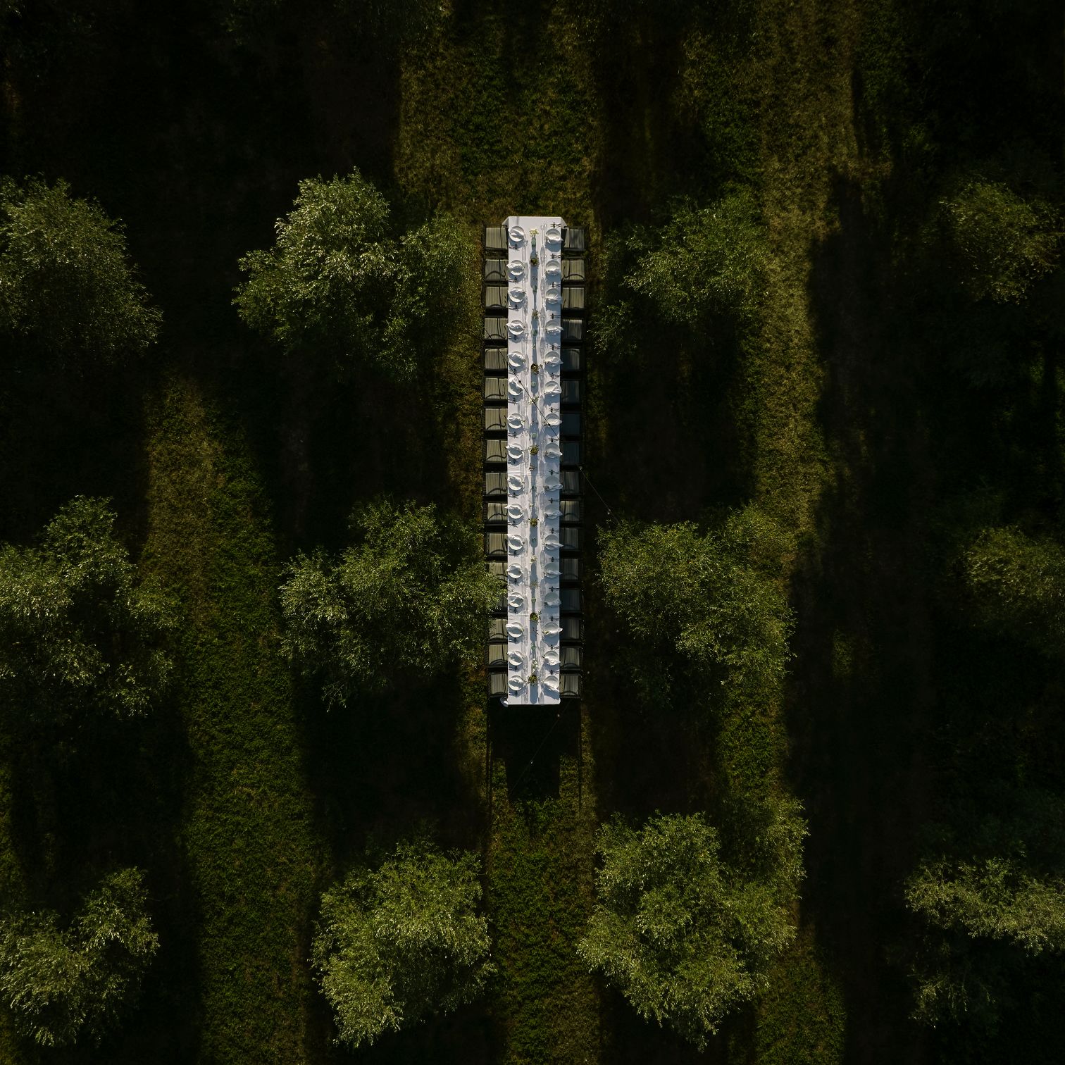 A Tall Tower Surrounded By Trees