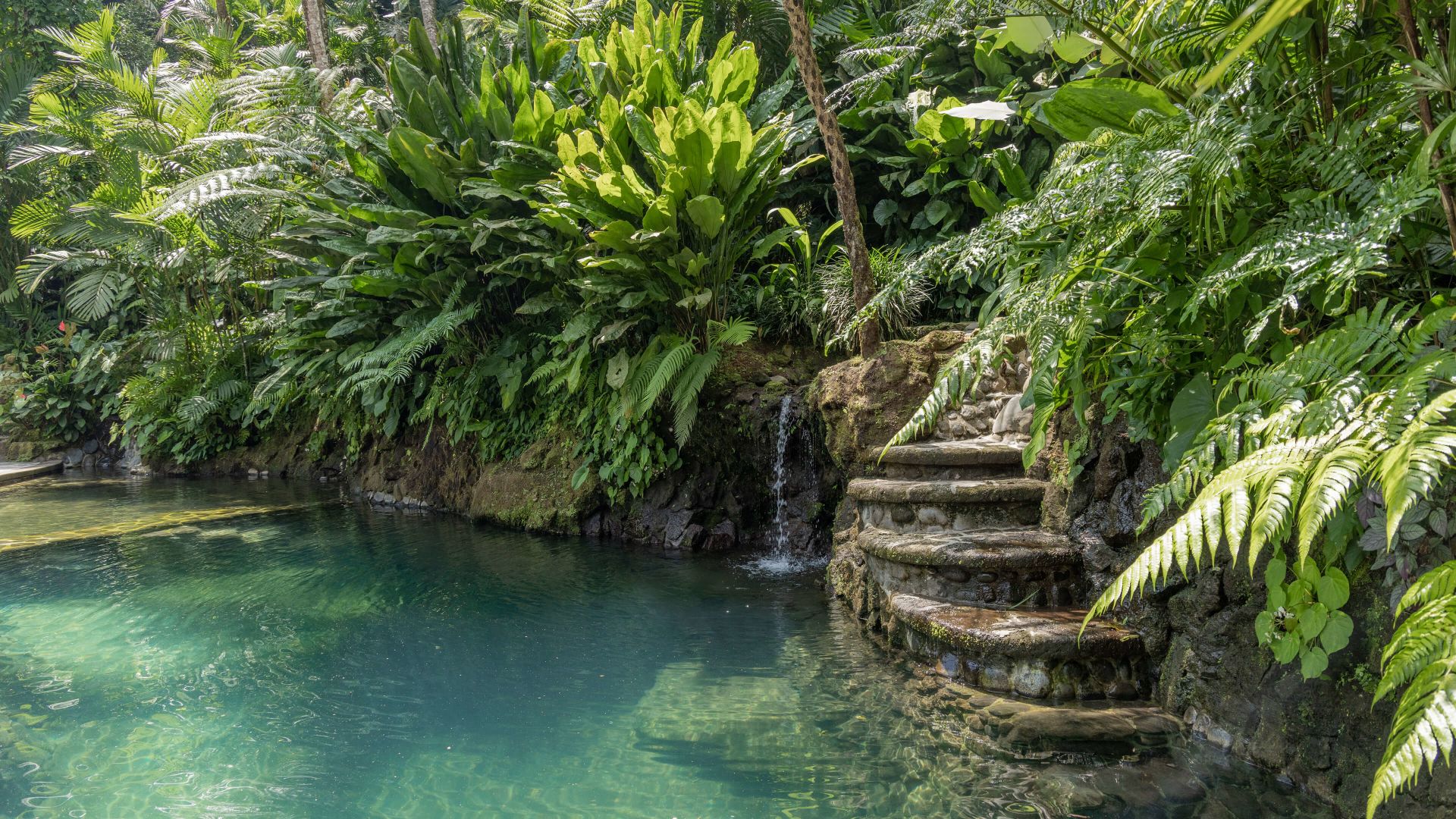A Small Waterfall In A Tropical Area